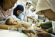 Baby with dengue
